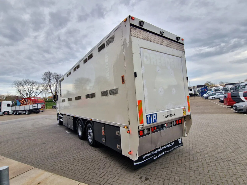 DAF XF 440 SuperSpaceCab 6x2*4 - 2 deck Closed Livestock - 40M2 - Filtersystem - משאית להובלת בעלי חיים: תמונה 5 DAF XF 440 SuperSpaceCab 6x2*4 - 2 deck Closed Livestock - 40M2 - Filtersystem - משאית להובלת בעלי חיים: תמונה 5