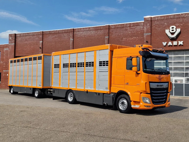 DAF XF 530 4x2 - Livestock Menke 2 deck + 2018 Menke trailer - Water + Ventilation - Lifting roof - משאית להובלת בעלי חיים: תמונה 2 DAF XF 530 4x2 - Livestock Menke 2 deck + 2018 Menke trailer - Water + Ventilation - Lifting roof - משאית להובלת בעלי חיים: תמונה 2