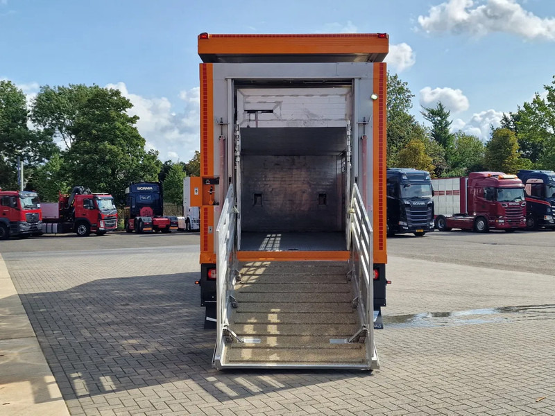 DAF XF 530 4x2 - Livestock Menke 2 deck + 2018 Menke trailer - Water + Ventilation - Lifting roof - משאית להובלת בעלי חיים: תמונה 5 DAF XF 530 4x2 - Livestock Menke 2 deck + 2018 Menke trailer - Water + Ventilation - Lifting roof - משאית להובלת בעלי חיים: תמונה 5