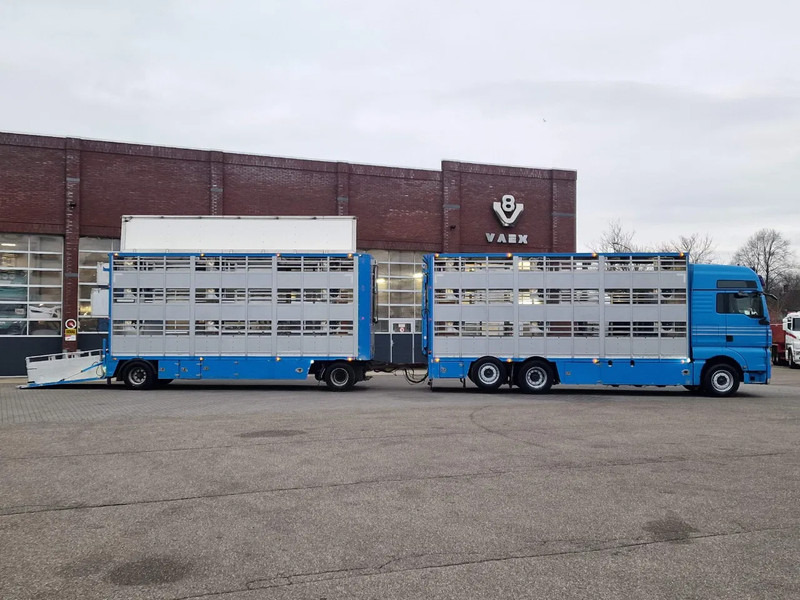 MAN TGX 26.440 6x2*4 - 3 deck Livestock - Water & Ventilation + Jumbo/Bekkers 3 deck trailer - משאית להובלת בעלי חיים: תמונה 3 MAN TGX 26.440 6x2*4 - 3 deck Livestock - Water & Ventilation + Jumbo/Bekkers 3 deck trailer - משאית להובלת בעלי חיים: תמונה 3