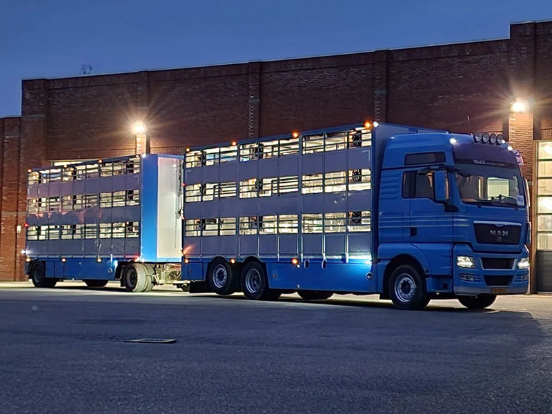 MAN TGX 26.440 6x2*4 - 3 deck Livestock - Water & Ventilation + Jumbo/Bekkers 3 deck trailer - משאית להובלת בעלי חיים: תמונה 2 MAN TGX 26.440 6x2*4 - 3 deck Livestock - Water & Ventilation + Jumbo/Bekkers 3 deck trailer - משאית להובלת בעלי חיים: תמונה 2