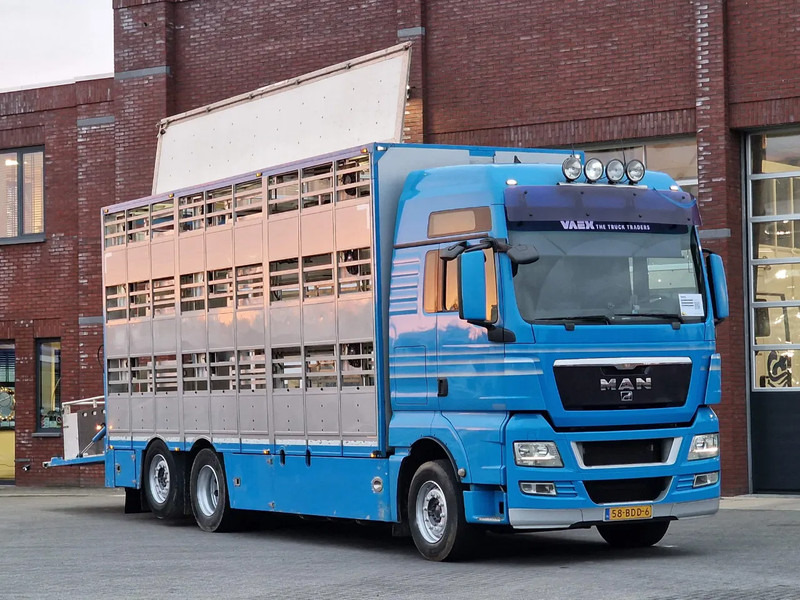 MAN TGX 26.440 6x2*4 - 3 deck Livestock - Water & Ventilation - Manual gearbox - Steering axle - משאית להובלת בעלי חיים: תמונה 1 MAN TGX 26.440 6x2*4 - 3 deck Livestock - Water & Ventilation - Manual gearbox - Steering axle - משאית להובלת בעלי חיים: תמונה 1
