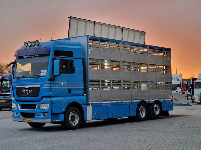MAN TGX 26.440 6x2*4 - 3 deck Livestock - Water & Ventilation - Manual gearbox - Steering axle - משאית להובלת בעלי חיים: תמונה 4 MAN TGX 26.440 6x2*4 - 3 deck Livestock - Water & Ventilation - Manual gearbox - Steering axle - משאית להובלת בעלי חיים: תמונה 4