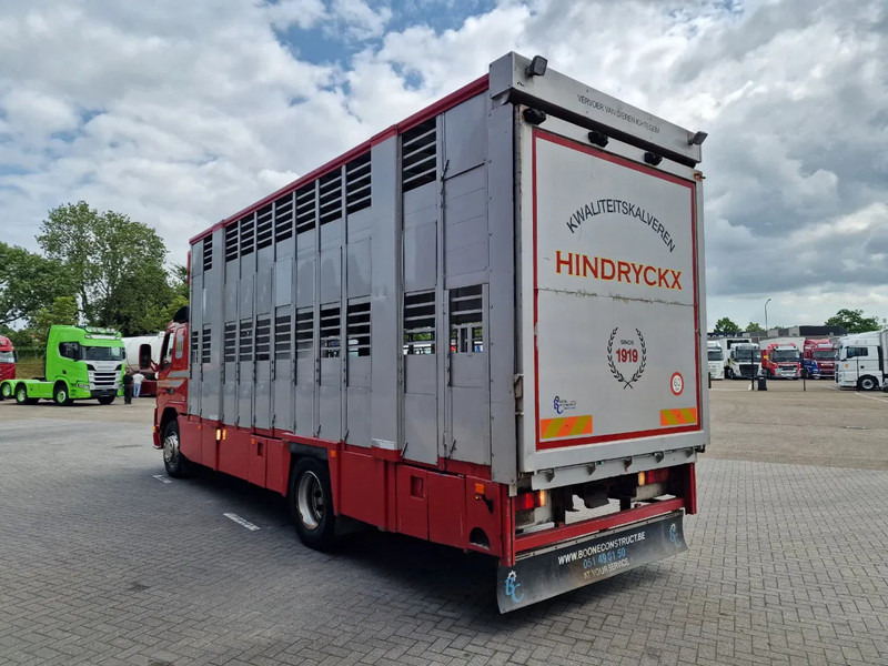 Volvo FM 250 4x- Livestock 2 deck - Lifting floors - Loadlift - Manual gearbox - משאית להובלת בעלי חיים: תמונה 5 Volvo FM 250 4x- Livestock 2 deck - Lifting floors - Loadlift - Manual gearbox - משאית להובלת בעלי חיים: תמונה 5