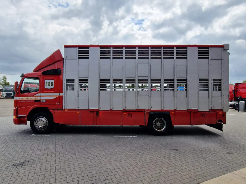 Volvo FM 250 4x- Livestock 2 deck - Lifting floors - Loadlift - Manual gearbox - משאית להובלת בעלי חיים: תמונה 4 Volvo FM 250 4x- Livestock 2 deck - Lifting floors - Loadlift - Manual gearbox - משאית להובלת בעלי חיים: תמונה 4