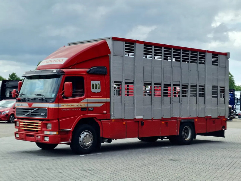 Volvo FM 250 4x- Livestock 2 deck - Lifting floors - Loadlift - Manual gearbox - משאית להובלת בעלי חיים: תמונה 3 Volvo FM 250 4x- Livestock 2 deck - Lifting floors - Loadlift - Manual gearbox - משאית להובלת בעלי חיים: תמונה 3