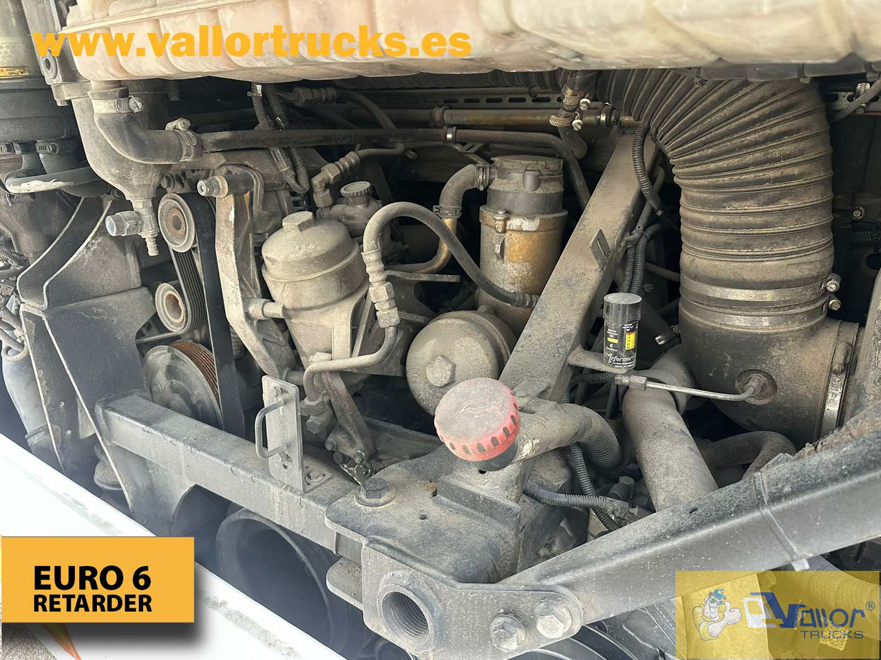 MAN LION´S REGIO L - אוטובוס בית ספר: תמונה 5 MAN LION´S REGIO L - אוטובוס בית ספר: תמונה 5