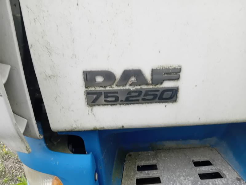 DAF CF 75.250 - משאית תיבה: תמונה 2 DAF CF 75.250 - משאית תיבה: תמונה 2