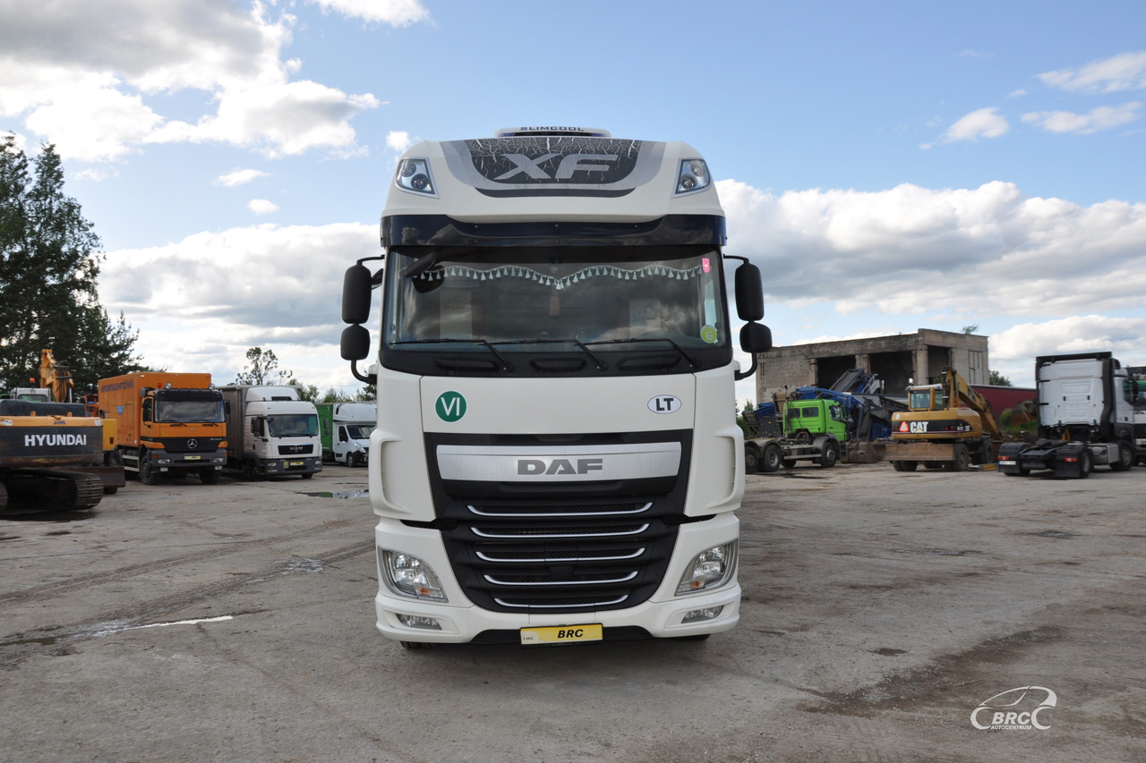 DAF XF 460 FAR - משאית להובלת בעלי חיים: תמונה 3 DAF XF 460 FAR - משאית להובלת בעלי חיים: תמונה 3