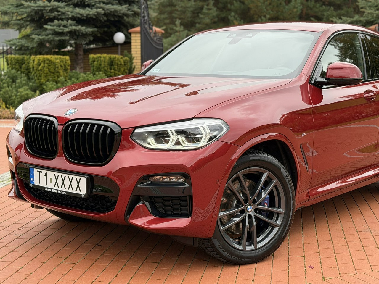 BMW X4 - SUV: תמונה 5 BMW X4 - SUV: תמונה 5