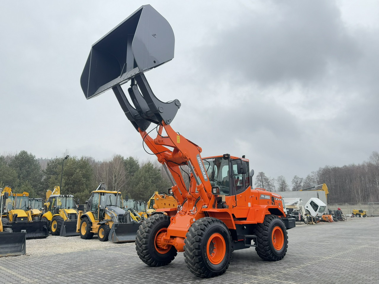 Doosan DL250 14,5Ton Łyżka Wysokiego Wysypu !!! - מעמיס גלגלים: תמונה 1 Doosan DL250 14,5Ton Łyżka Wysokiego Wysypu !!! - מעמיס גלגלים: תמונה 1