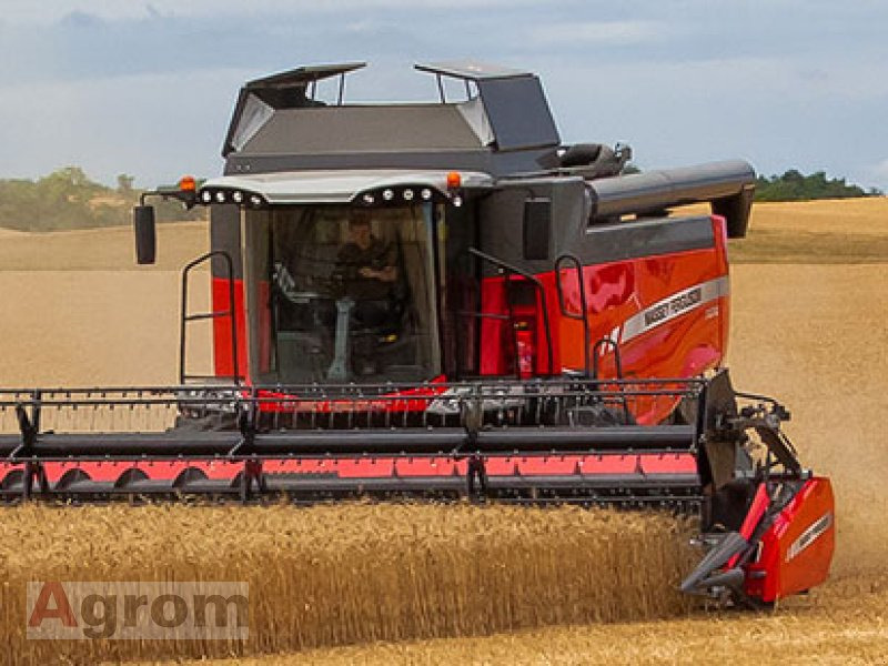 Massey Ferguson 7360 Beta - מקצרת קומבינה: תמונה 1 Massey Ferguson 7360 Beta - מקצרת קומבינה: תמונה 1