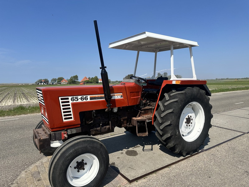 Fiat 65-66 - טרקטור חקלאי: תמונה 1 Fiat 65-66 - טרקטור חקלאי: תמונה 1