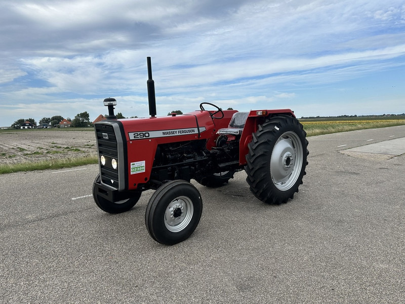 Massey Ferguson 290 - טרקטור חקלאי: תמונה 1 Massey Ferguson 290 - טרקטור חקלאי: תמונה 1
