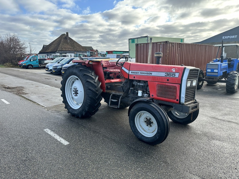Massey Ferguson 365 - טרקטור חקלאי: תמונה 3 Massey Ferguson 365 - טרקטור חקלאי: תמונה 3