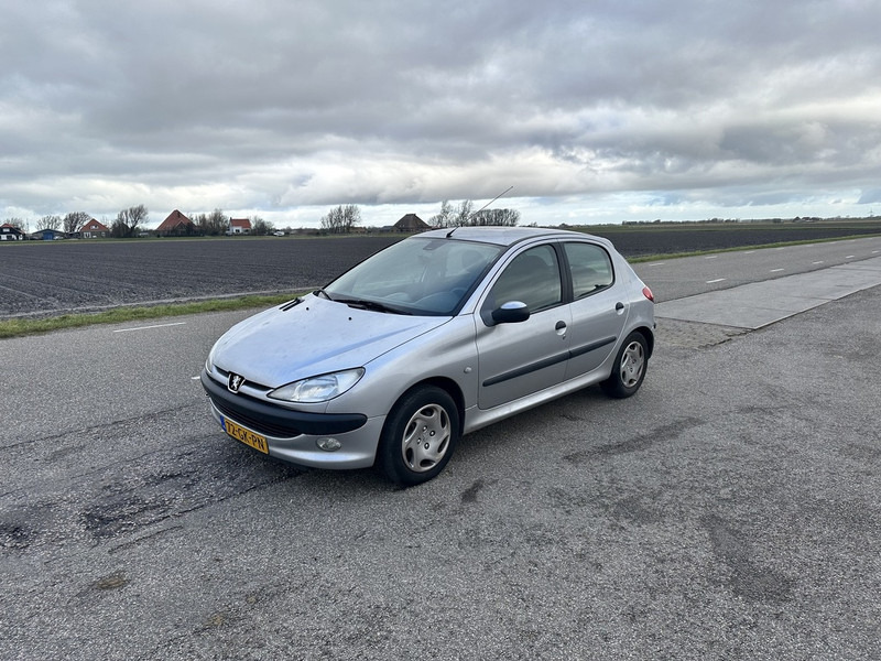 Peugeot 206 - מכונית: תמונה 1 Peugeot 206 - מכונית: תמונה 1