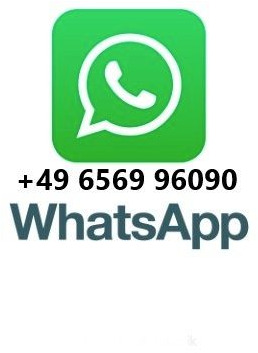 MAN TGS 28.400 6x4-4 BL Kipper / Kran / Winterdienst - מזהיר, משאית מנוף: תמונה 1 MAN TGS 28.400 6x4-4 BL Kipper / Kran / Winterdienst - מזהיר, משאית מנוף: תמונה 1