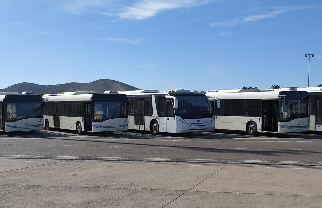 Solaris Urbino 12 - אוטובוס תעופתי: תמונה 1 Solaris Urbino 12 - אוטובוס תעופתי: תמונה 1