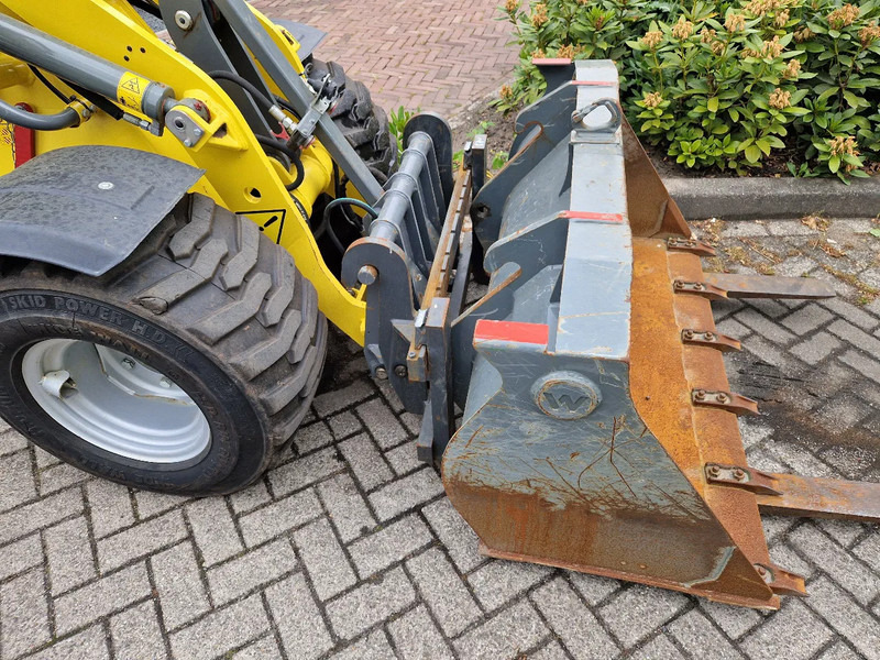 מעמיס גלגלים WACKER NEUSON WL 25: תמונה 6