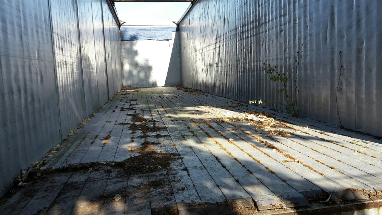 Reisch RSBS-35/24 PV RSBS-35/24 PV Walkingfloor ca. 86m³, Alu - סמיטריילר עם רצפת הליכה: תמונה 2 Reisch RSBS-35/24 PV RSBS-35/24 PV Walkingfloor ca. 86m³, Alu - סמיטריילר עם רצפת הליכה: תמונה 2