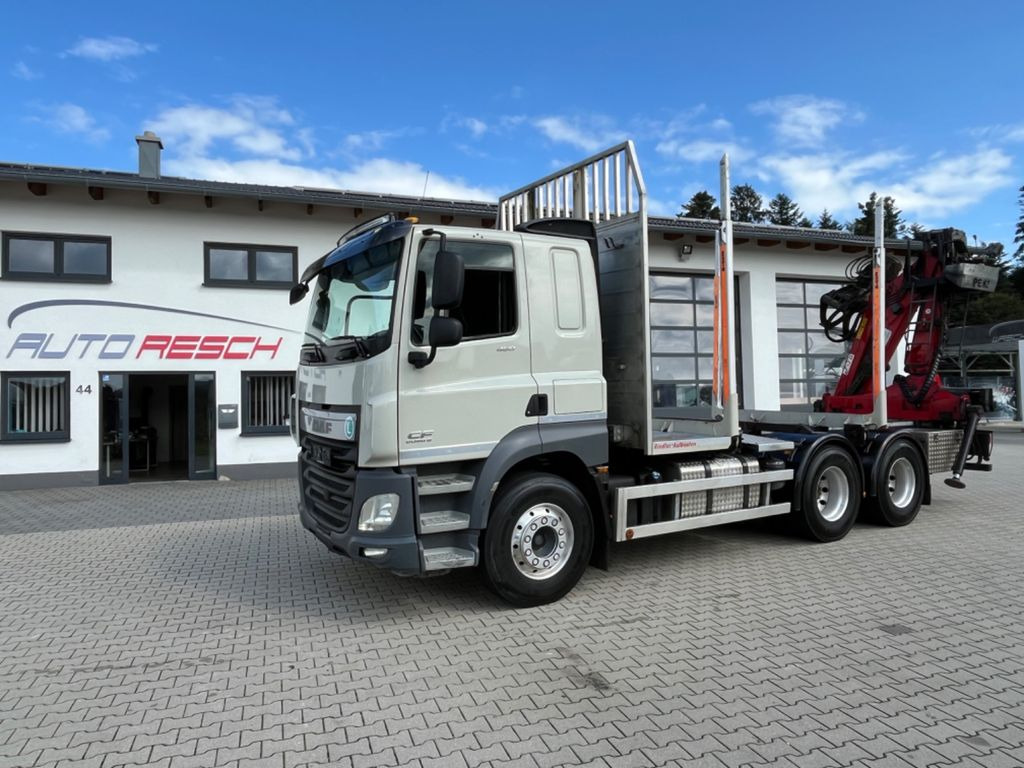 DAF CF 460 6x4 mit Riedler Holzaufb. Penz Kran 12Z - משאית עץ, משאית מנוף: תמונה 3 DAF CF 460 6x4 mit Riedler Holzaufb. Penz Kran 12Z - משאית עץ, משאית מנוף: תמונה 3