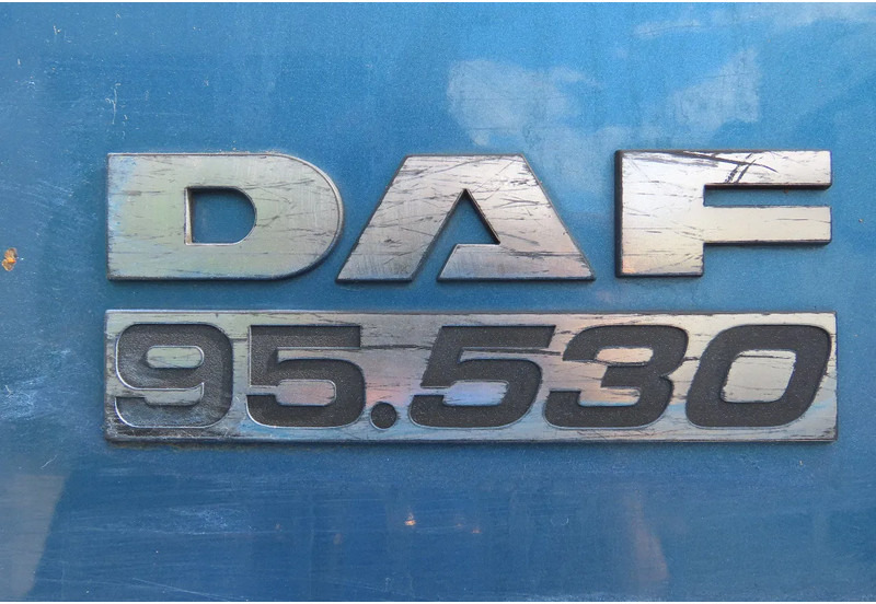 יחידת טרקטור DAF XF 95.530 EURO4. Royal DAF!: תמונה 12