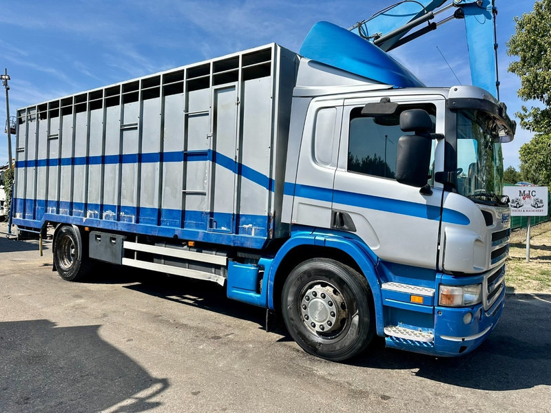 Scania P310 4x2 CLOSED ALU BOX 7m - MANUAL - A/C - BELGIAN TRUCK - משאית תיבה: תמונה 1 Scania P310 4x2 CLOSED ALU BOX 7m - MANUAL - A/C - BELGIAN TRUCK - משאית תיבה: תמונה 1