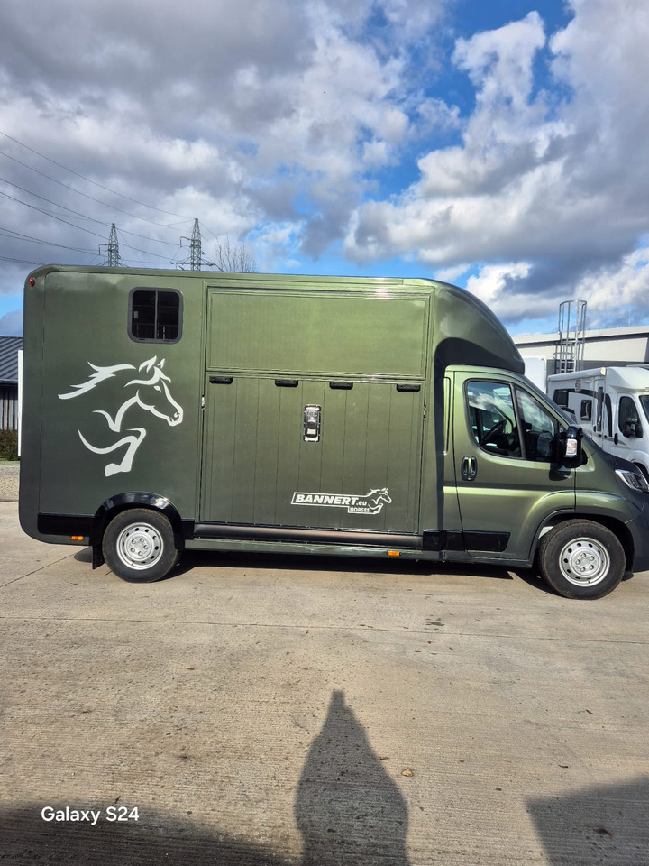 Opel Bannert Koniowoz / Horse Truck / In Stock - משאית סוסים: תמונה 5 Opel Bannert Koniowoz / Horse Truck / In Stock - משאית סוסים: תמונה 5