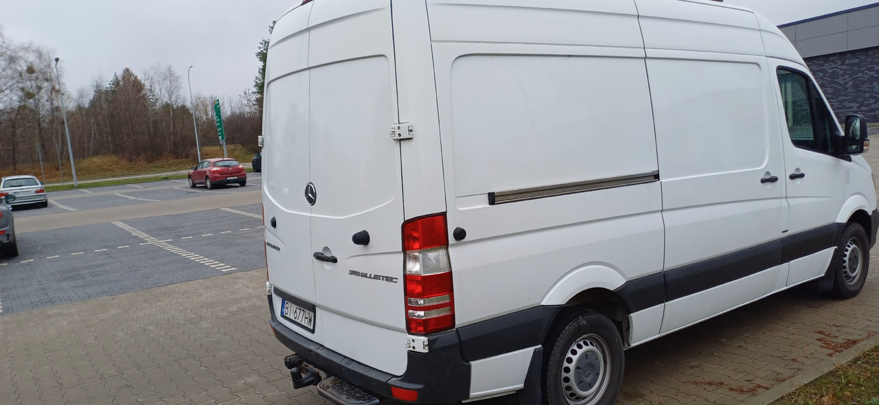 MERCEDES-BENZ Sprinter 319 BlueTec - מכונית: תמונה 4 MERCEDES-BENZ Sprinter 319 BlueTec - מכונית: תמונה 4