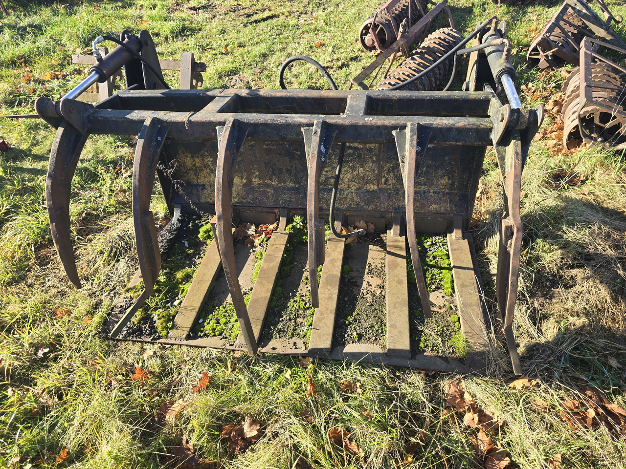 Inna Łyżko krokodyl 180 cm - ציוד צמחי: תמונה 5 Inna Łyżko krokodyl 180 cm - ציוד צמחי: תמונה 5