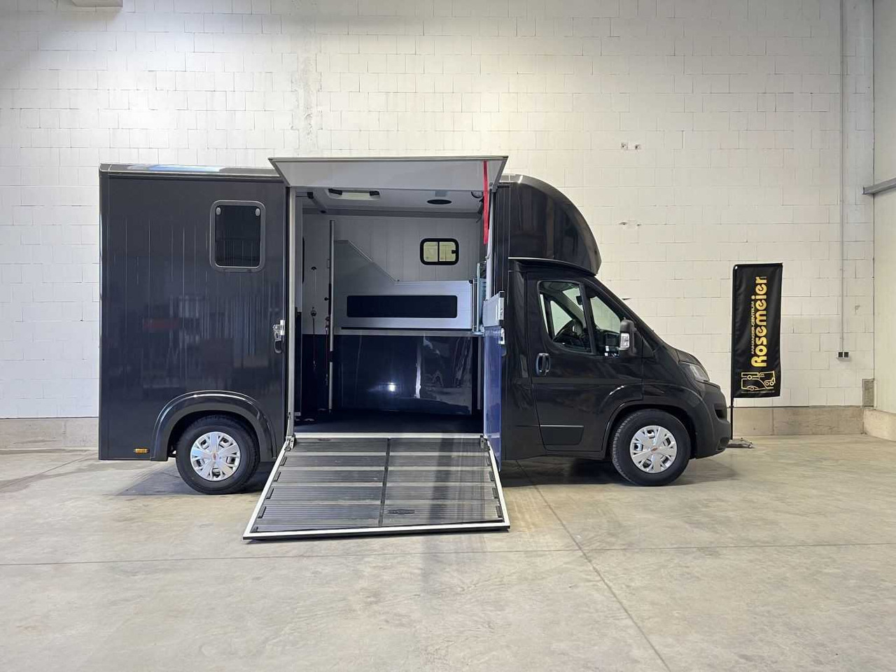 Fiat Böckmann Compact Stall LKW - משאית סוסים: תמונה 1 Fiat Böckmann Compact Stall LKW - משאית סוסים: תמונה 1