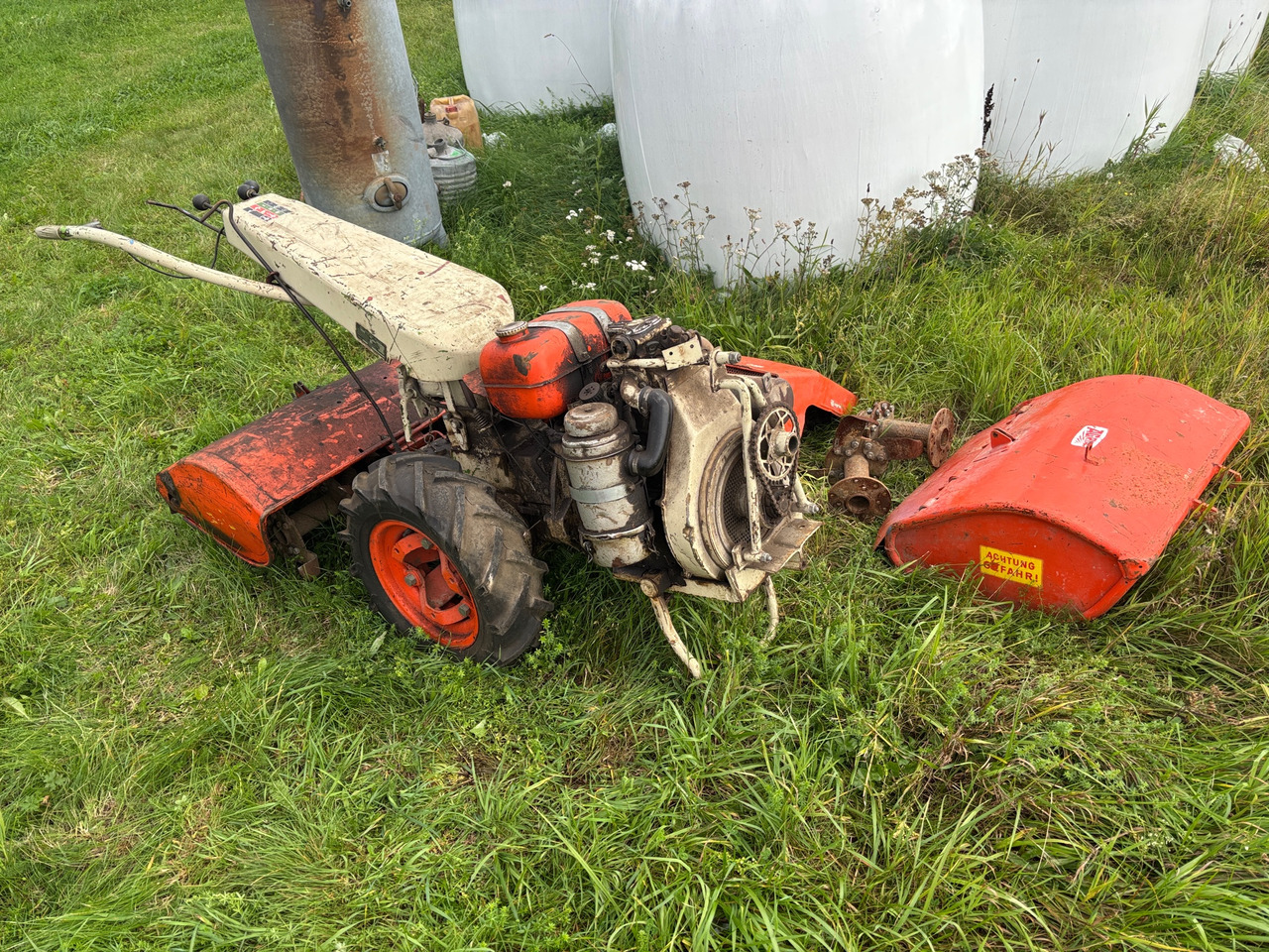 Agria Werke Sk27 - שתיל גינה: תמונה 1 Agria Werke Sk27 - שתיל גינה: תמונה 1