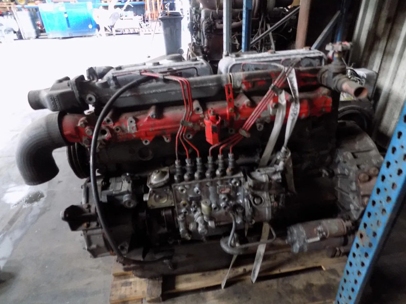 DAF 825 motor van daf typ 85 euro 2 - מנוע עבור משאית: תמונה 1 DAF 825 motor van daf typ 85 euro 2 - מנוע עבור משאית: תמונה 1