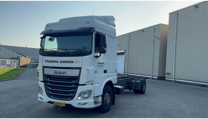 DAF XF 440 nette XF106 Chassis cabine - משאית עם שלדת תא: תמונה 1 DAF XF 440 nette XF106 Chassis cabine - משאית עם שלדת תא: תמונה 1