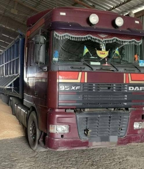 DAF XF 95 - יחידת טרקטור: תמונה 5 DAF XF 95 - יחידת טרקטור: תמונה 5
