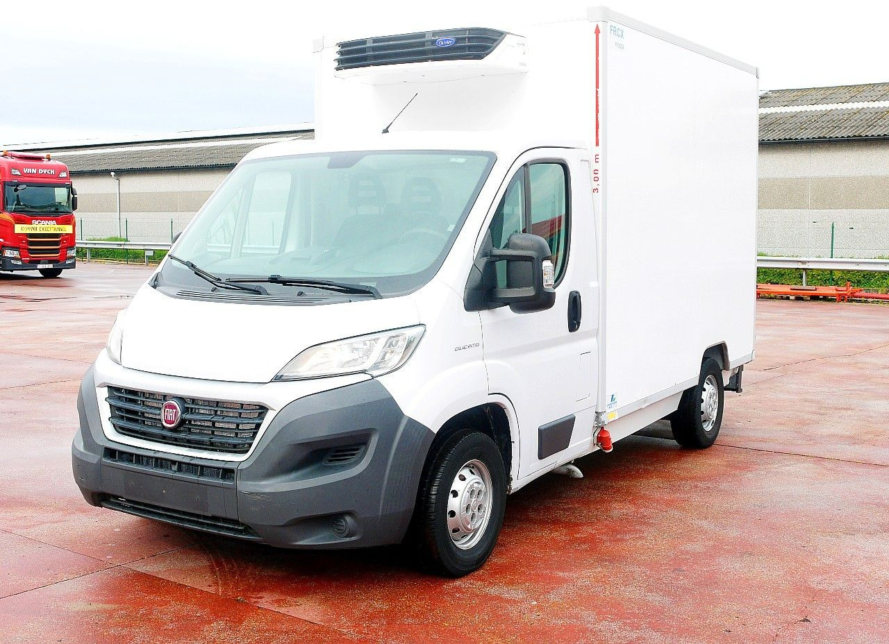 Fiat DUCATO 2.3 KUHLKOFFER FLEISH HAKEN CARRIER -20C - כלי רכב מסחרי לקירור: תמונה 5 Fiat DUCATO 2.3 KUHLKOFFER FLEISH HAKEN CARRIER -20C - כלי רכב מסחרי לקירור: תמונה 5
