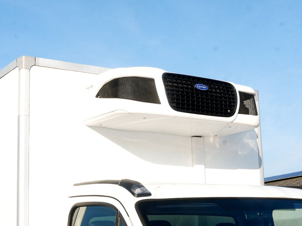 כלי רכב מסחרי לקירור Iveco 35C13 DAILY KUHLKOFFER 4.4m CARIER PULSOR 600 MT: תמונה 11
