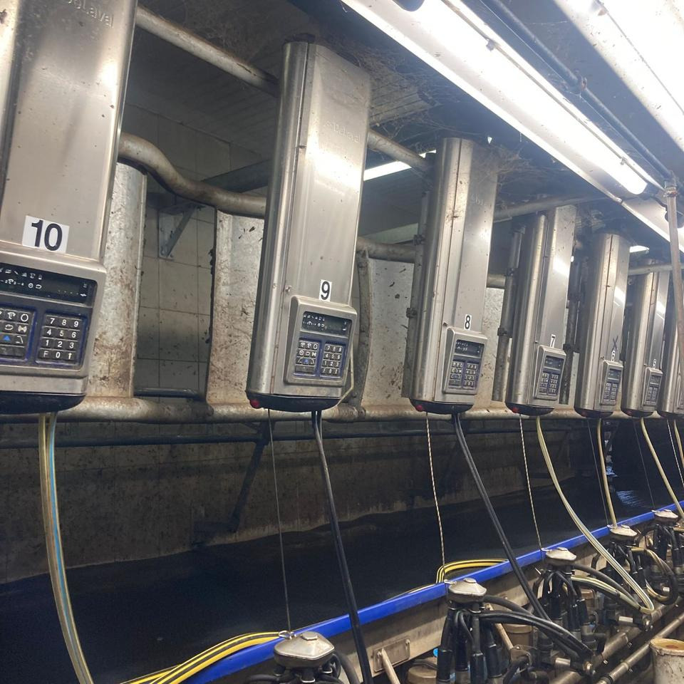 DeLaval Fischgrätenmelkstand Doppel 10er - ציוד חליבה: תמונה 1 DeLaval Fischgrätenmelkstand Doppel 10er - ציוד חליבה: תמונה 1