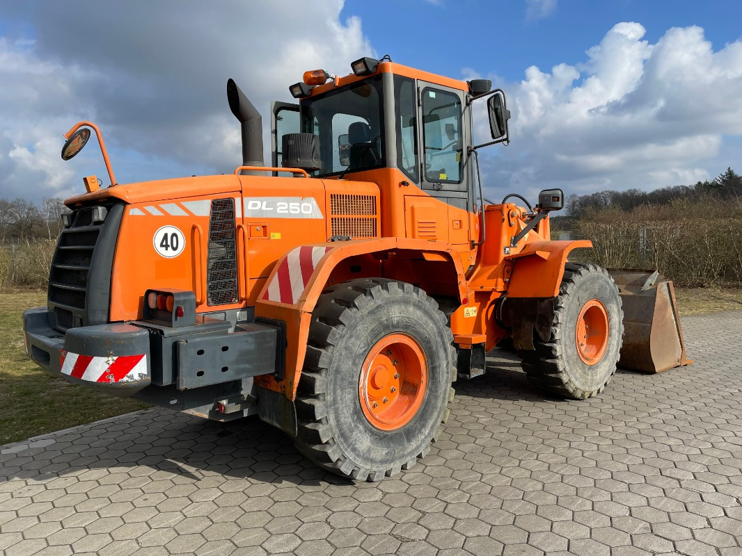 Doosan DL250 - מעמיס גלגלים: תמונה 2 Doosan DL250 - מעמיס גלגלים: תמונה 2