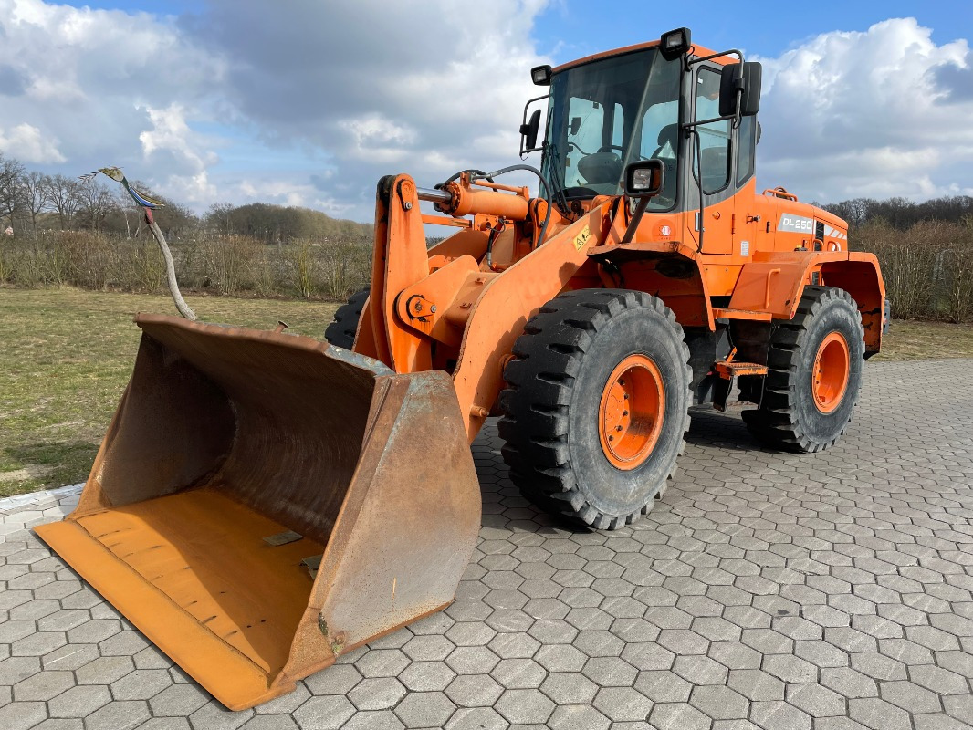 Doosan DL250 - מעמיס גלגלים: תמונה 1 Doosan DL250 - מעמיס גלגלים: תמונה 1