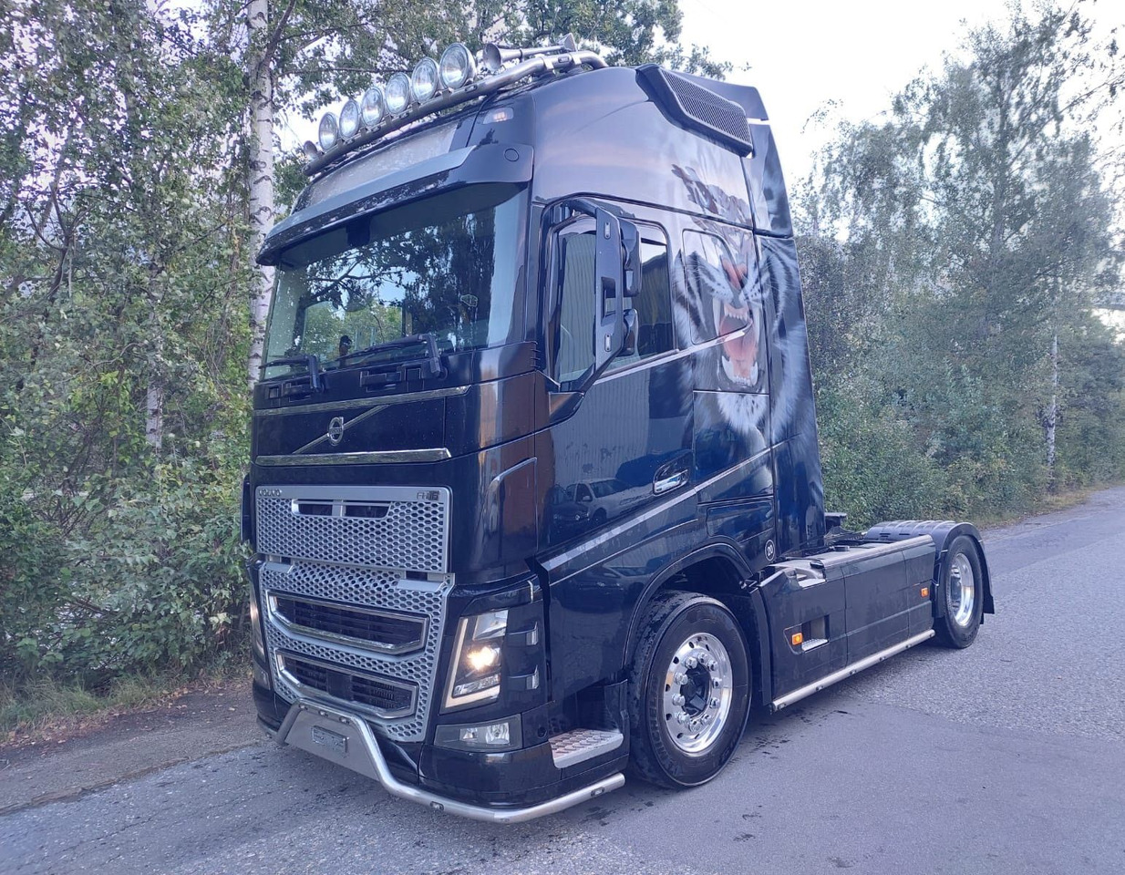 Volvo FH16-650 4x2, Euro 6, VEB, airbrush - יחידת טרקטור: תמונה 1 Volvo FH16-650 4x2, Euro 6, VEB, airbrush - יחידת טרקטור: תמונה 1