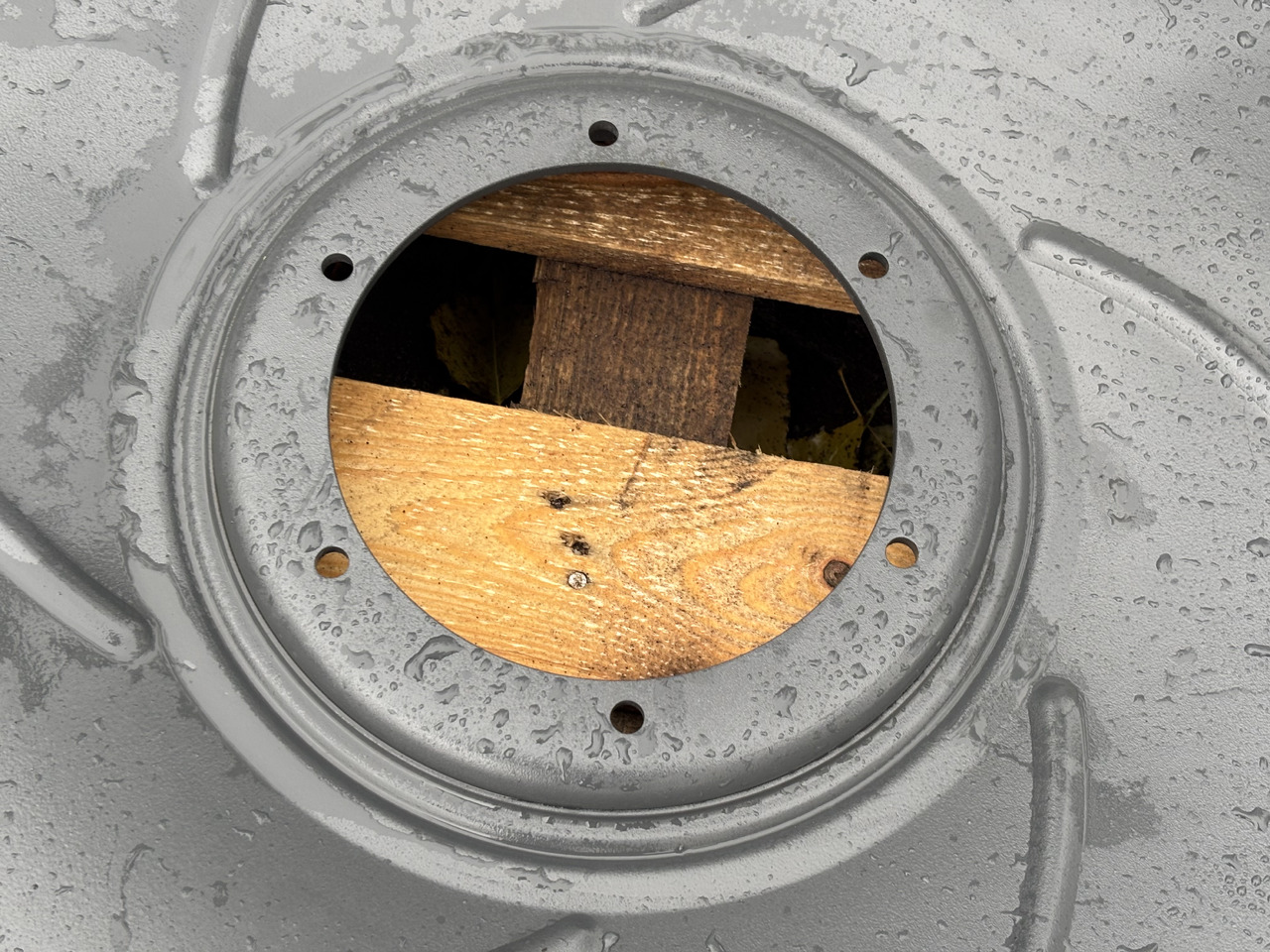 Claas Lexion 750 Koło Pasowe Napędu Wciągania 0006675442   00 0667 544 2 - חלקי חילוף עבור מכונה חקלאית: תמונה 3 Claas Lexion 750 Koło Pasowe Napędu Wciągania 0006675442   00 0667 544 2 - חלקי חילוף עבור מכונה חקלאית: תמונה 3