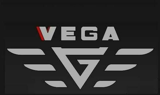סמיטריילר עם מטען נמוך VEGA Verzinkt+LIFT+LENKACHSE+LED: תמונה 15