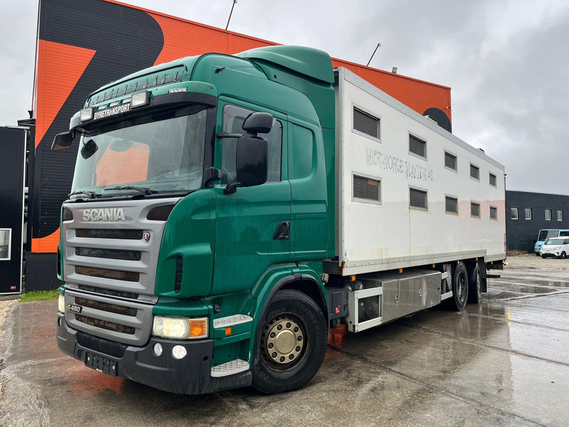 Scania G 480 6x2*4 BOX L=9212 mm / COOLANT LEAKAGE ON 3 RD CYLINDER - משאית להובלת בעלי חיים: תמונה 2 Scania G 480 6x2*4 BOX L=9212 mm / COOLANT LEAKAGE ON 3 RD CYLINDER - משאית להובלת בעלי חיים: תמונה 2