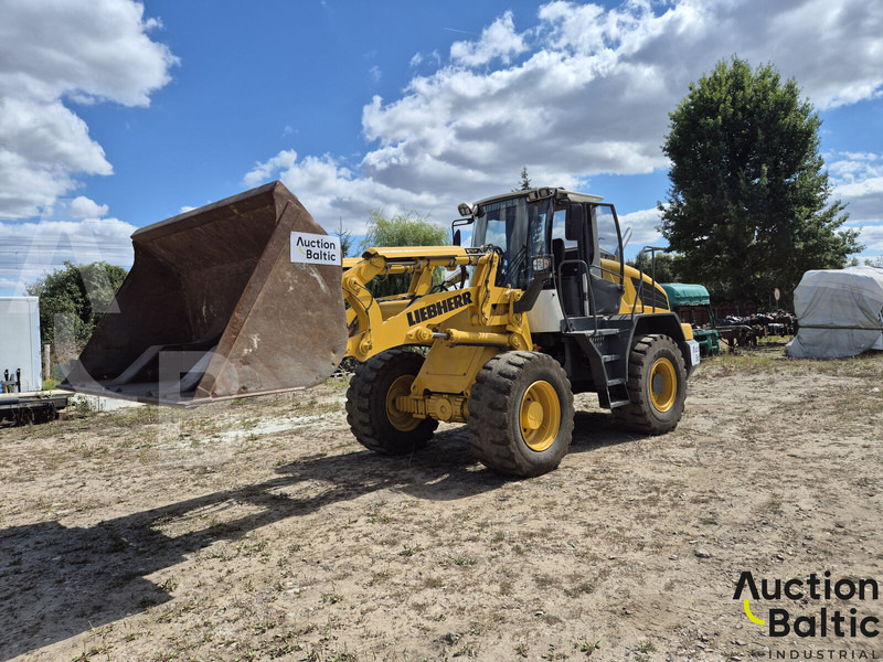 Liebherr L 524 - מעמיס גלגלים: תמונה 1 Liebherr L 524 - מעמיס גלגלים: תמונה 1