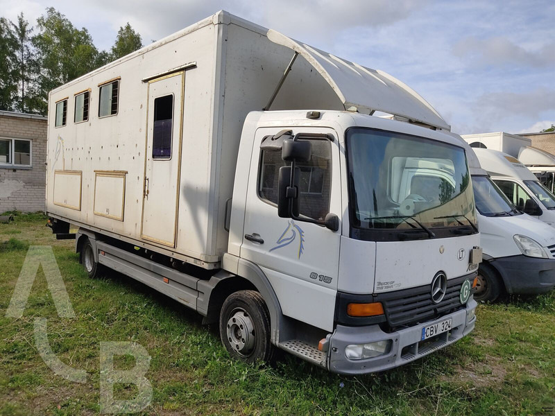 Mercedes-Benz 815 - משאית סוסים: תמונה 1 Mercedes-Benz 815 - משאית סוסים: תמונה 1