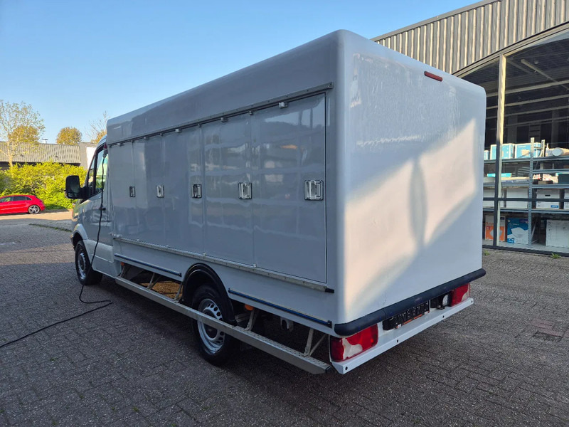 Mercedes-Benz Sprinter 313 CDI 5+5 Turen TIEFFROST -40C Carlsen Baltic E5 - כלי רכב מסחרי לקירור: תמונה 5 Mercedes-Benz Sprinter 313 CDI 5+5 Turen TIEFFROST -40C Carlsen Baltic E5 - כלי רכב מסחרי לקירור: תמונה 5