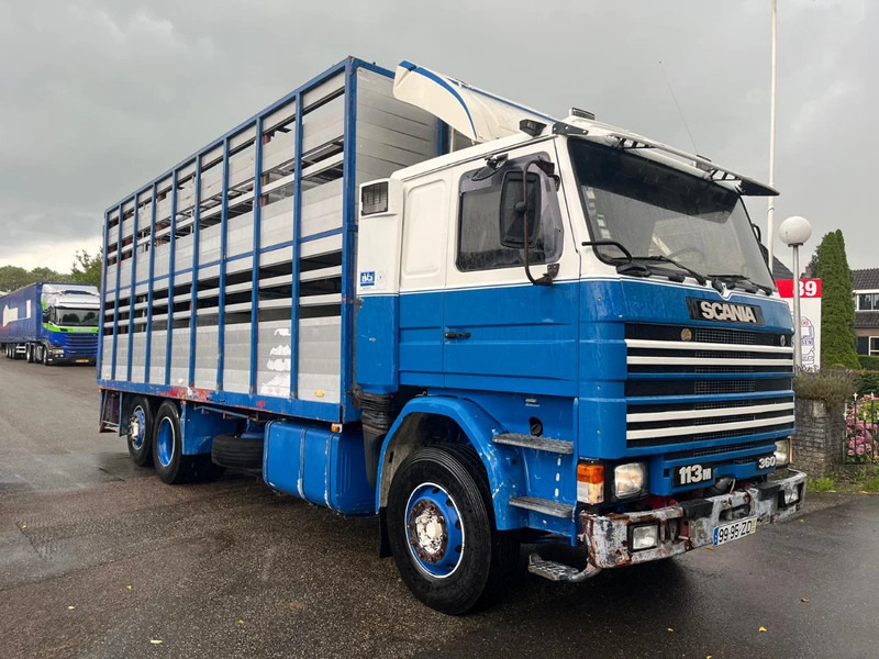 Scania R113-360 2 DECK LIFESTOCK truck in good condition - משאית להובלת בעלי חיים: תמונה 3 Scania R113-360 2 DECK LIFESTOCK truck in good condition - משאית להובלת בעלי חיים: תמונה 3