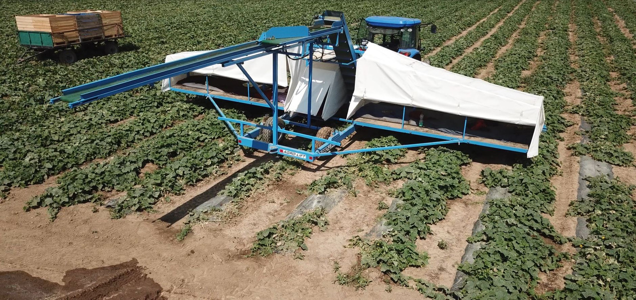 AGRO-LIFT Kombajn do ogórków - מקצרה: תמונה 3 AGRO-LIFT Kombajn do ogórków - מקצרה: תמונה 3