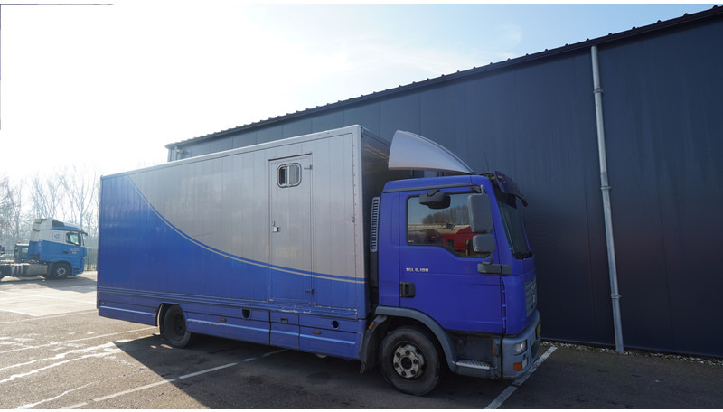 MAN TGL 8.180 HORSE TRANPORT 515.000KM - משאית סוסים: תמונה 4 MAN TGL 8.180 HORSE TRANPORT 515.000KM - משאית סוסים: תמונה 4